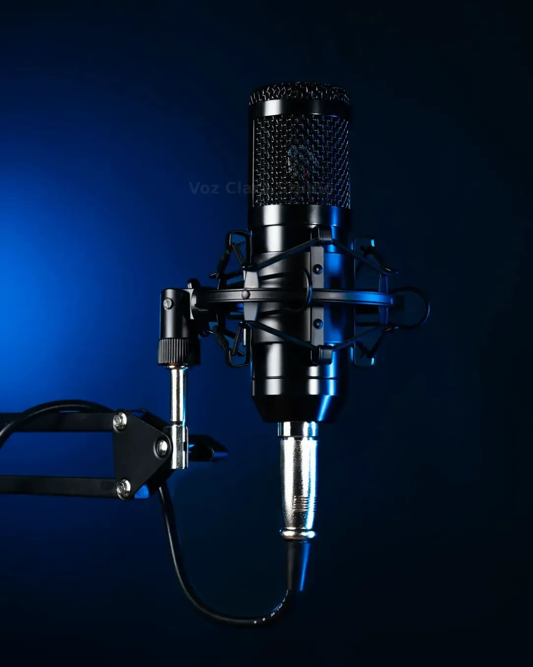 Voz Clara Studio 2